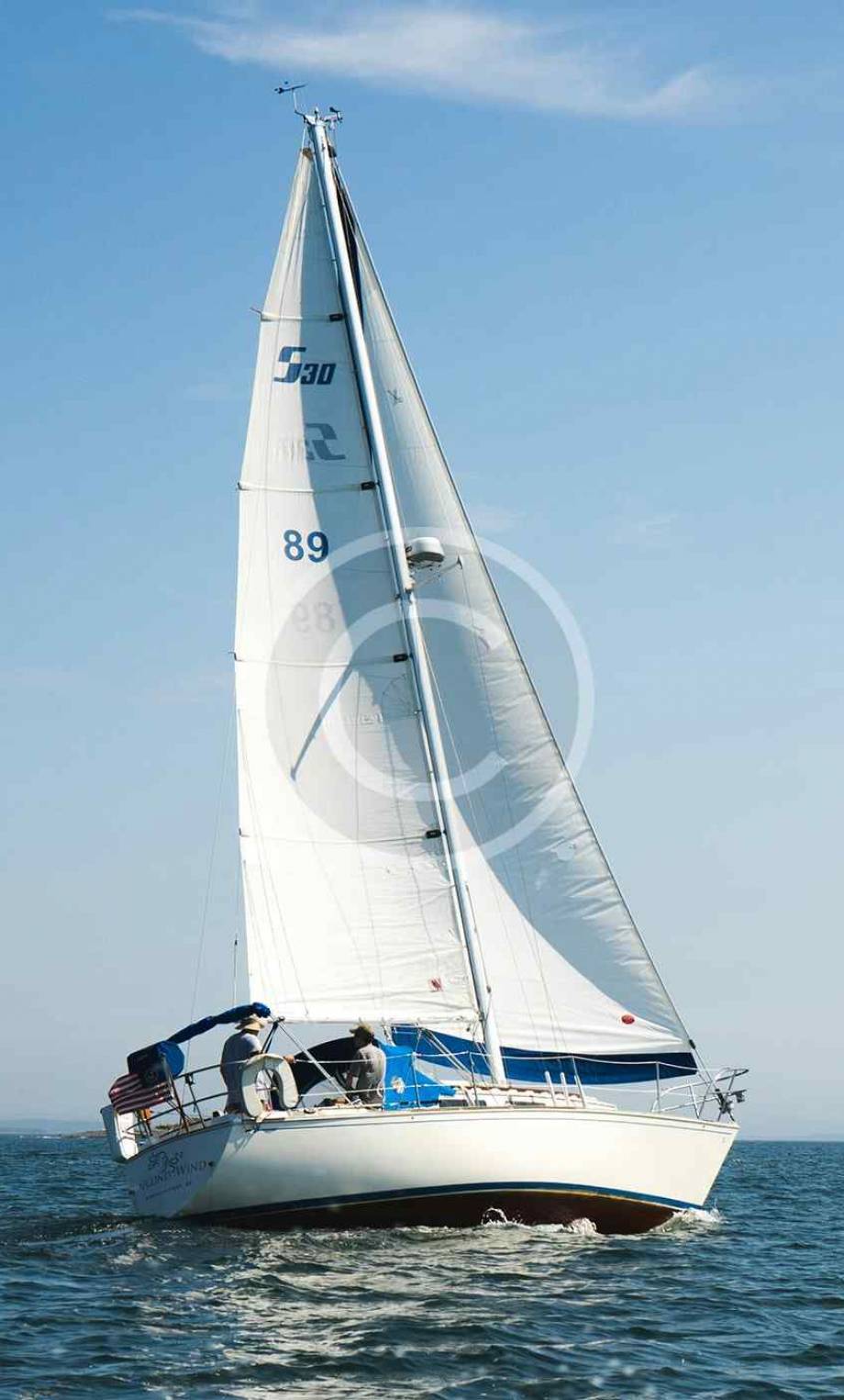 portf6-copyright